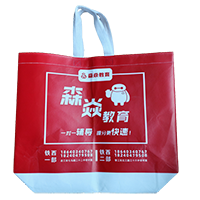  新疆LB37培训班广告袋